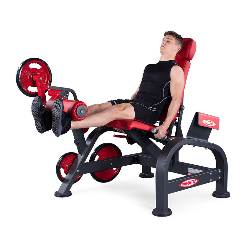 Нагружаемый дисками тренажер Panatta FreeWeight Special 1FW181