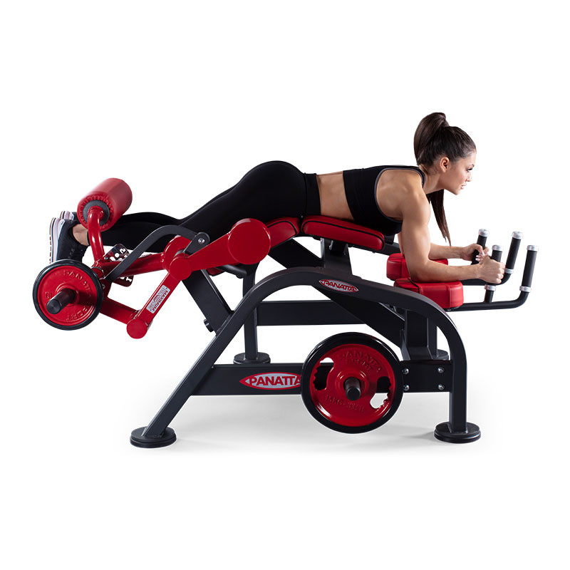 Нагружаемый дисками тренажер Panatta FreeWeight Special 1FW182