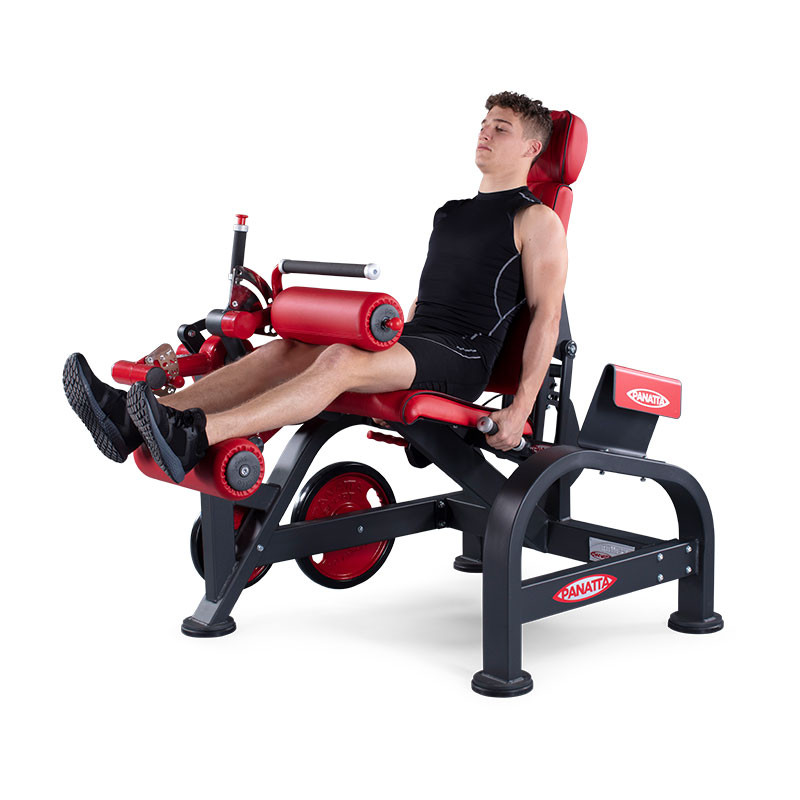 Нагружаемый дисками тренажер Panatta FreeWeight Special 1FW183