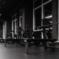 E7043 Скамья-стойка для жима штанги лежа