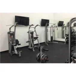 Подтягивание / отжимание с помощью Hoist HD-3700