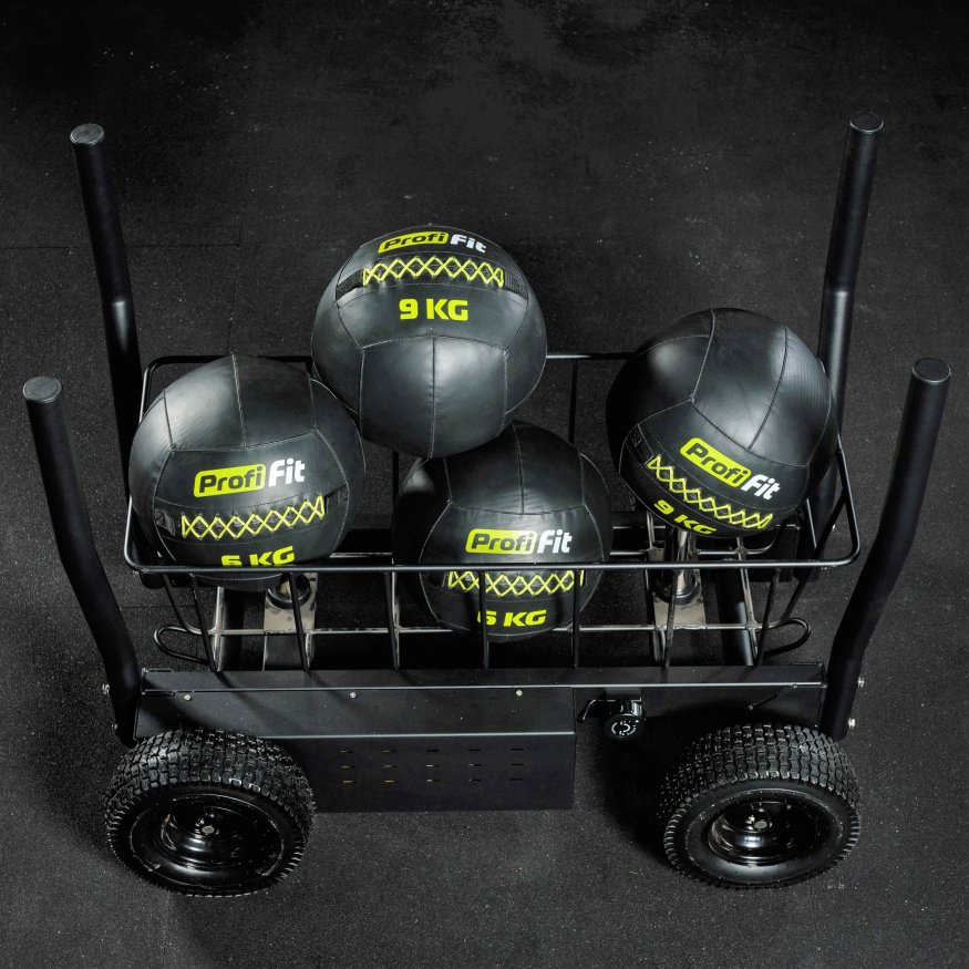 Сани-тележка для функционального тренинга (Тренажер Tank) TANGEN