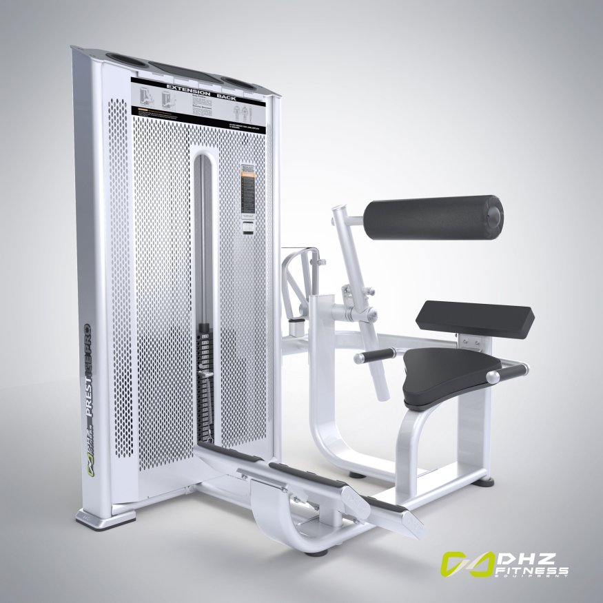 E7031A Разгибание спины. Стек 110 кг