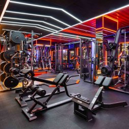 E7045 Тренажер для разгибания спины. Гиперэкстензия