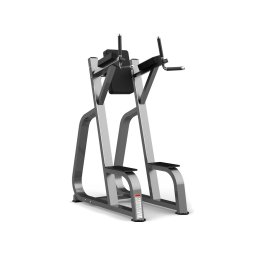 Брусья/пресс Realleader FW-2025