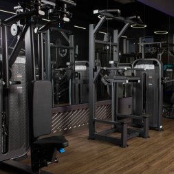 U3009D (E5009) Турник, брусья с противовесом. Стек 88 кг