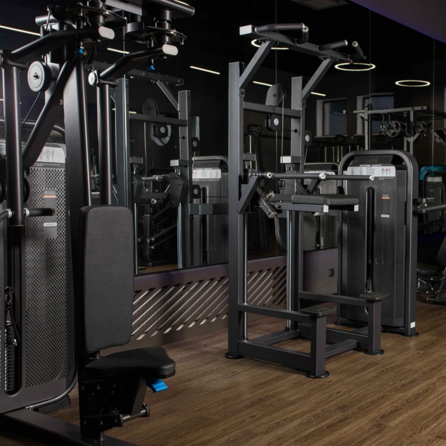 U3009D (E5009) Турник, брусья с противовесом. Стек 88 кг