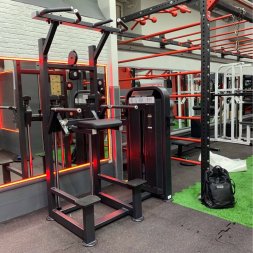 U3009D (E5009) Турник, брусья с противовесом. Стек 88 кг