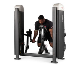Независимый бицепс с упором в грудь (Пастырь) Panatta Fit Evo 1FE052