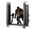 Независимый бицепс с упором в грудь (Пастырь) Panatta Fit Evo 1FE052