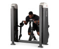 Независимый бицепс с упором в грудь (Пастырь) Panatta Fit Evo 1FE052