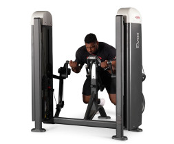 Независимый бицепс с упором в грудь (Пастырь) Panatta Fit Evo 1FE052