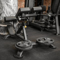 BRONZE GYM BR-1010 Гиперэкстензия