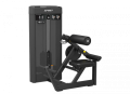 Разгибание спины Spirit SP-4310